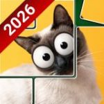 Picture Collecting Game