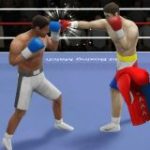Boxing 3D game