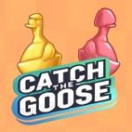 Game Catch the Goose