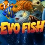 Evo Fish game