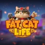 Fat Cat’s Life