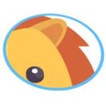 Guess What’s Hidden Game?