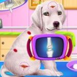 Labrador Puppy Grooming Salon Game