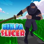 Slicer Ninja Game