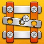 Nut and Bolt Puzzle Game