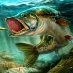 Real Fishing Simulator Game