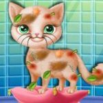 Save the Stray Cat game