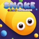 Colored Snake Challenge Game